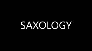 Miniatura de vídeo de "SAXOLOGY"