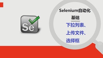 Selenium｜常用网页元素下拉列表、选择框、上传文件的操作语法｜#6