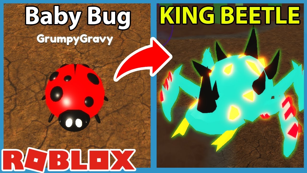 i-unlocked-the-legendary-beetle-bug-in-roblox-bug-simulator-youtube