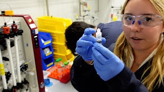 Spend a day in the life of three undergrad researchers by Stanford 6,800 views 3 months ago 3 minutes, 19 seconds