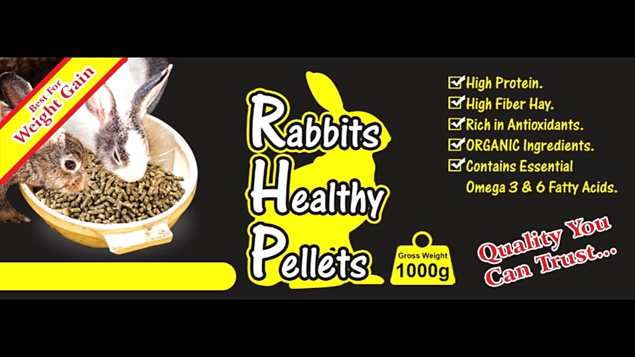 Rabbit Food YouTube