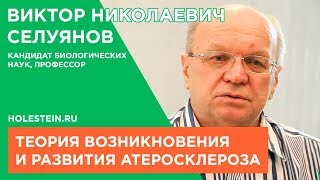 Теория атеросклероза - профессор Селуянов Виктор Николаевич