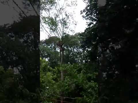 That strong wind: