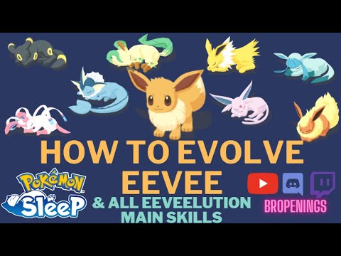 How to get evolve all Eeveelutions + all Main Skills of