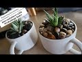 How to repot succulents into containers without drainage