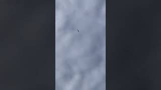 Small RC Helicopter is POWERFUL 🤯