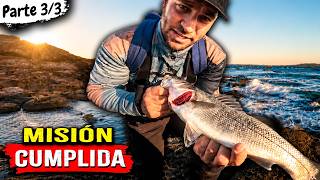 𝟕 Días Pescando a Spinning desde Costa en Busca de Lubinas🔹𝓟𝓪𝓻𝓽𝓮 3/3🔹