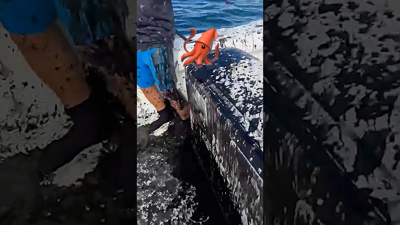 Кальмар разбрызгивает чернила повсюду! 🦑 Лодка накрыта! 