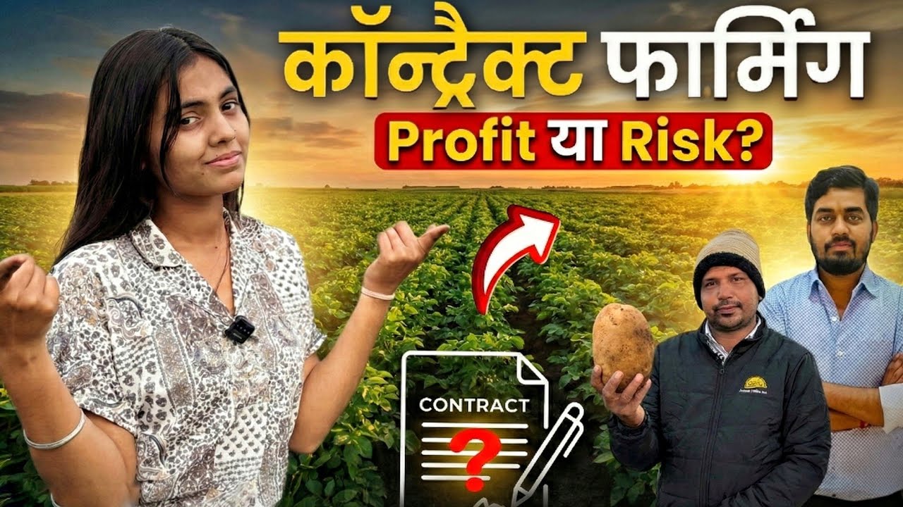 How Contract Farming Works 🤔 | A to Z Guide | Fixed Rate or Not? 🥔🔥