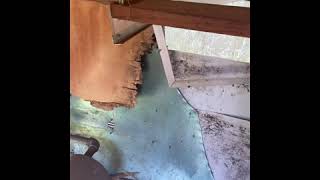 Vintage Yellowstone Camper- Repairing and Modernizing **Tear Out and Reframing ** Part One