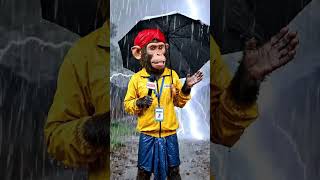 Aj live from pind #ai #bandar #ai #monkey #reels #viralvideo #comedy #dance #edit #foryou #funny