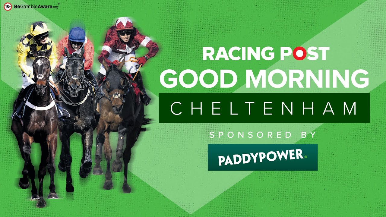 Good Morning Cheltenham | Day 3 Preview | Paul Kealy, Jerry ...