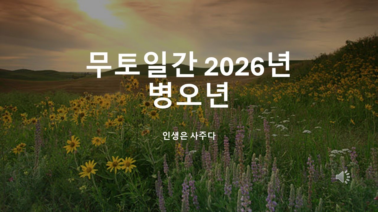 2026년 병오년, 무토일간에게 찾아오는 운명의 전환점!!!