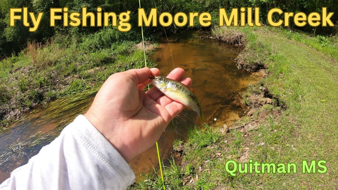 Fly Fishing Moore Mill Creek YouTube