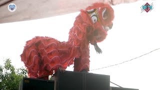Jaran Lumping | Lion Dance Performance on a Sound System - Burok Mjm Live Tonjong 01-06-2021