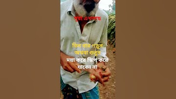 #egzonibrahimi #سورة_الإخلاص #ikhlas #সব #অটোমোবাইল @abuhanif82 # তিন বার পড়ুন অথবা শুনুন! 👈👈