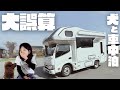 【キャンピングカー車中泊】思わぬハプニング！広大なドックラン付きRVパーク｜山梨旅①