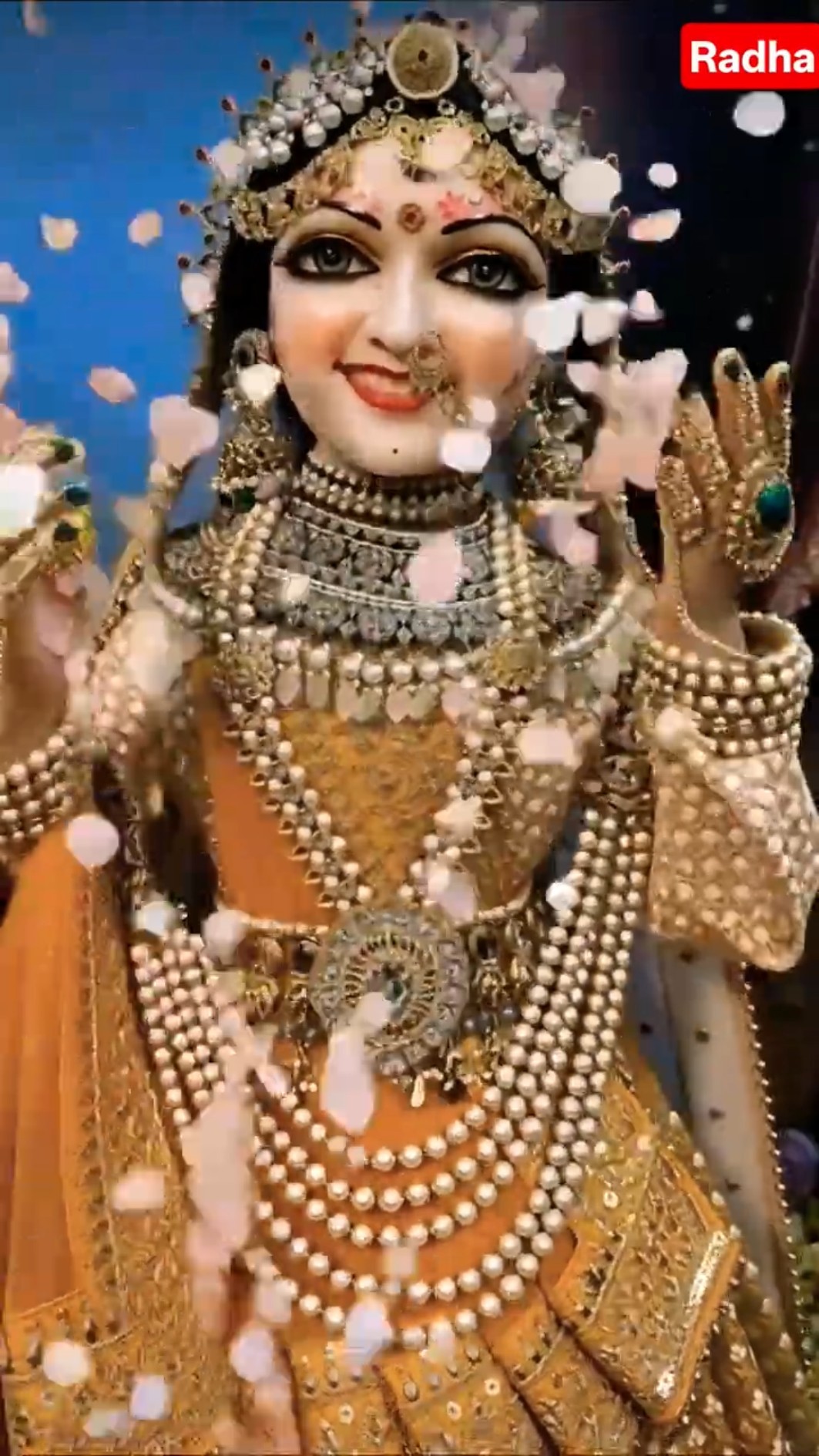 💞🌹राधा🌺कृष्ण🌹💞 - ShareChat