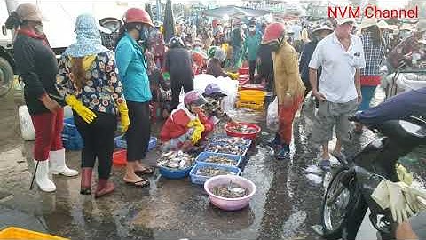 Cảng cá Cồn Chà ngày nào |Nvm Channel