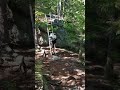 Squarepeg&#39;s 2019 &amp; 2020 Appalachian Trail Section Hike. Dutchman Descends a ladder on the AT.