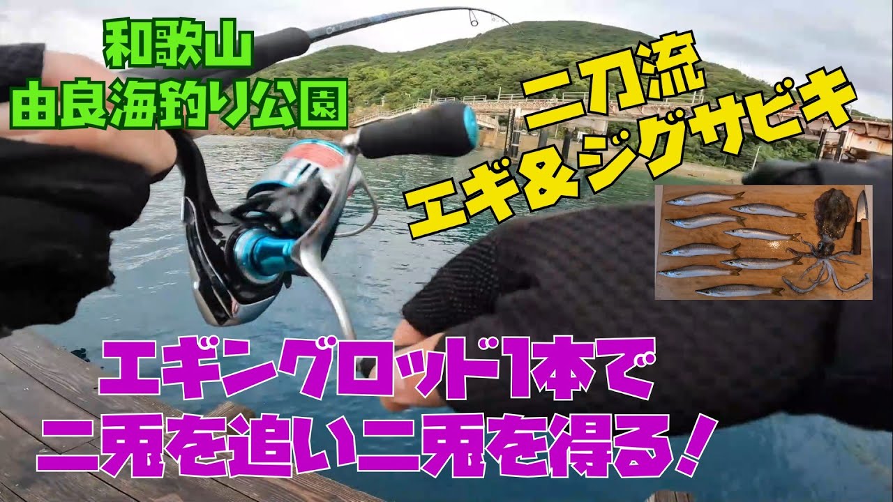 エギング＆ジグサビキ】エギングロッド1本で二兎を追え！！ - YouTube
