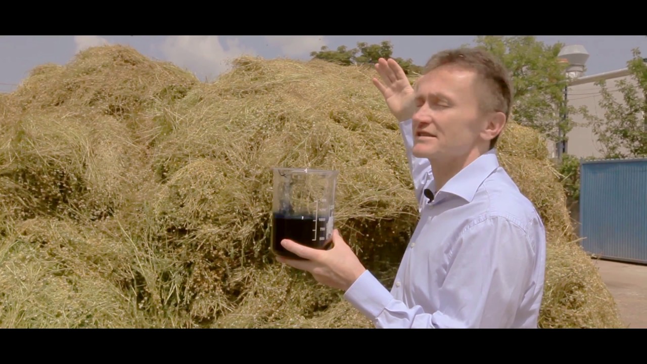 Essential oil manufacturing, production, distilling   Silvestris 1