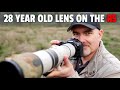 I was SURPRISED by the RESULTS!! How the R5 Performs with old EF Lenses