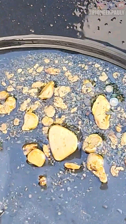 Diver Finds $1400 Of Gold In New Zealand!