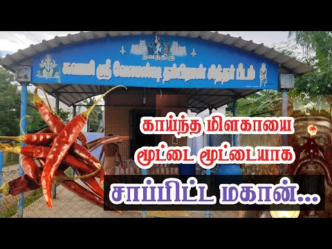 காய்ந்த மிளகாயை மூட்டை மூட்டையாக சாப்பிட்ட மகான்...| Pranavam TV