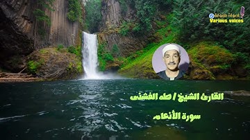 تلاوة خاشعة من سورة الأنعام | القارئ الشيخ طه الفشنى | من إذاعة القرآن الكريم #الفشنى #تلاوة_خاشعة