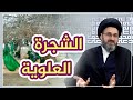 عندي شجرة علوية وأريد أقطعها