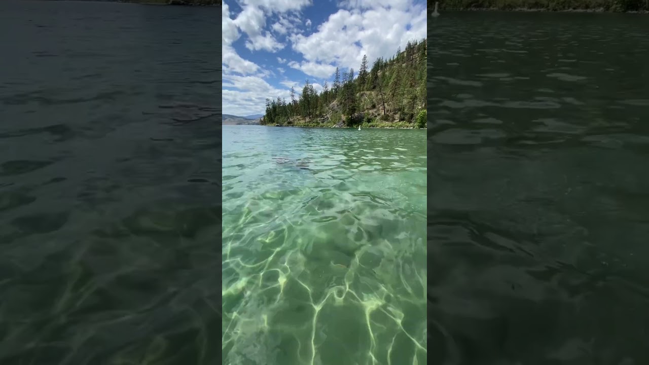 Fun in the crystal clear water of Cosens Bay, Okanagan 🇨🇦 #britishcolumbia #okanagan