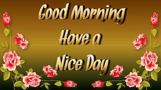 Good morning to you song animation 3d
