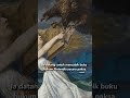The Attack #art #history #viral #insight