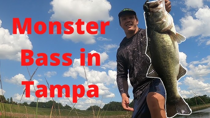 Catching Hybrid and Largemouth Bass at TAMPA SPILLWAY (Tampa bypass canal)  