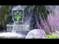 Prairie Yard & Garden: Ask the Arboretum Experts | Native Orchids in Minnesota