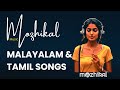 Malayalam song live  247 live stream  cover songs  relaxing  lofi  chill  relax  tamil songs