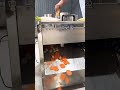 Full-automatic radish slicing machine with uniform thickness and uniform standard size#萝卜切片机
