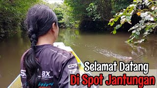 Pertama Kali Merasakan Keganasan Sambaran Toman Casting Toman Di Spot Jantungan Pulau Bangka