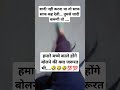 ,#radhe krishna #radhekrishna 🙏🙏🌹❤️🥰#funny #shortfeed #comedy