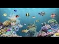 تطبيق حوض أسماك متحركة لأجهزة الأندرويد|aniPet Aquarium Live Wallpaper| تحميل مجاني