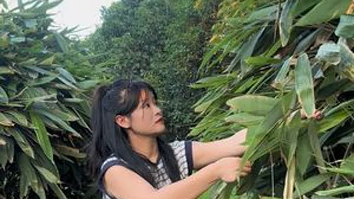 又快到了一年的端午节，你们那里吃的甜粽子还是咸粽子 大概只有我们安徽人包三角粽吧？#美食 #农村生活搞笑视频