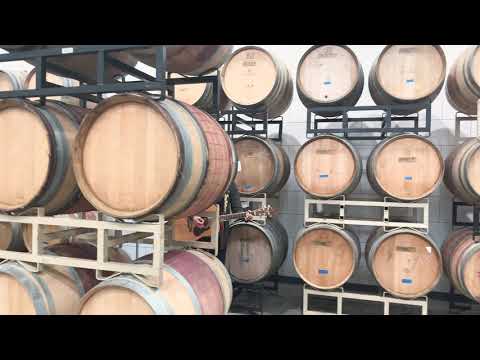 “Whisky” live from Port Townsend Vinyards