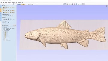 Trout | Vectric V11 Tutorials