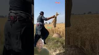 Khet Me Se Janwar Ka Bhagane