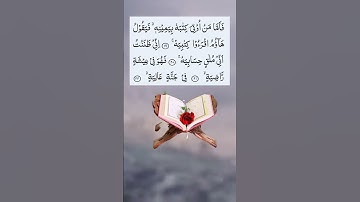 راحة نفسية 🥀تلاوة خاشعة حالات واتس اب قرآن كريم
