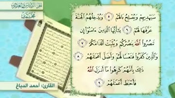 آية٨سورة محمد مكرر القارئ أحمد الدباغ