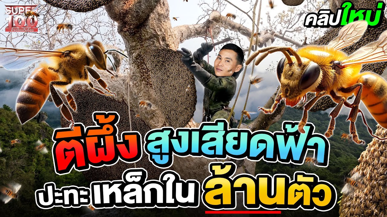 ภารกิจสูงเสียดฟ้า #พรานแม็ก ชาวนานักตีผึ้ง ตามล่าหาน้ำหวาน ฝ่าเหล็กในนับล้านตัว l SUPER100