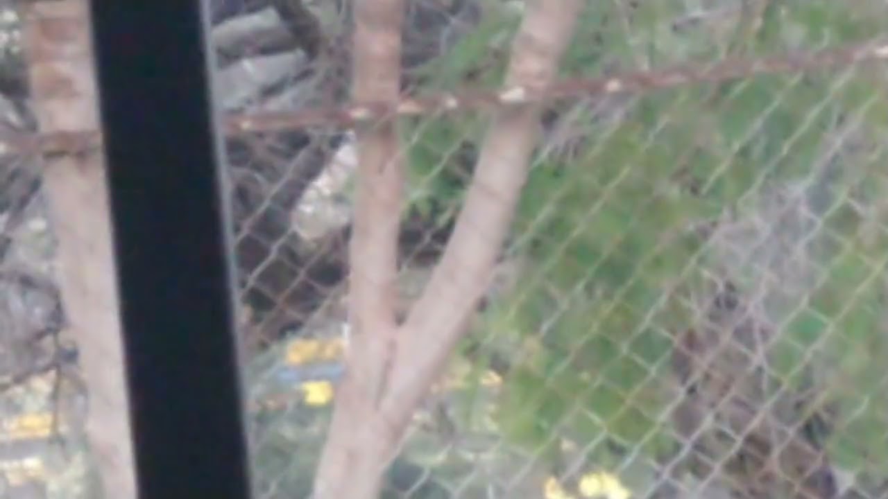 21 de febrero de 2026