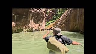 Zion National Park Utah USA